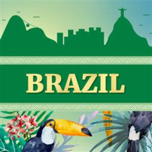 Pocillo Brazil Natural Artisan Roast Coffee Cup Pods -  traditional dry-processed coffee