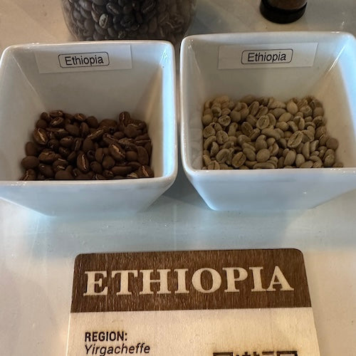 Pocillo Artisan Roast Ethiopia Yirgacheffe Coffee -Beans